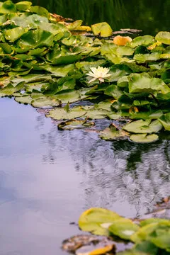 第三步：开启旅程